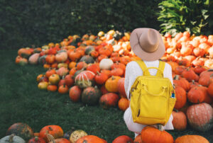 woman sitting in a pumpkin patch